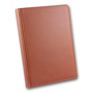 ЗВ-55 WINNER Бриск